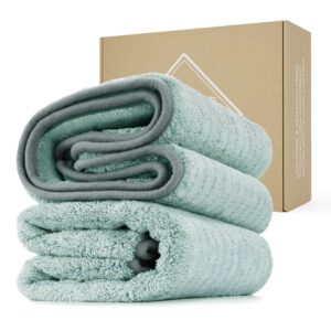 FantastiCLEAN 2 Pack Reusable and Washable Cloths Microfiber Cleaning Cloth- Car Drying Towels(Green)